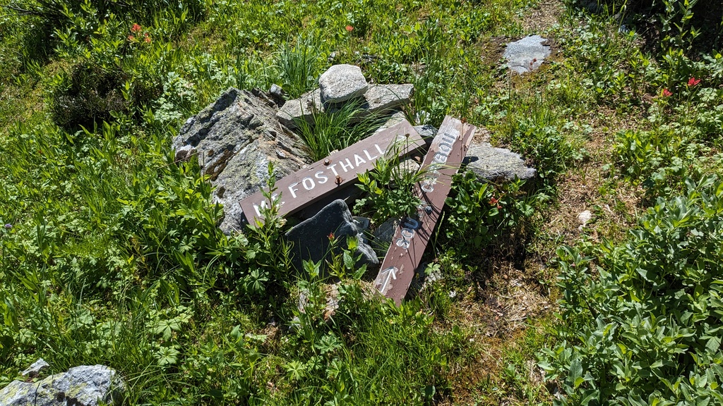 Downed Sign